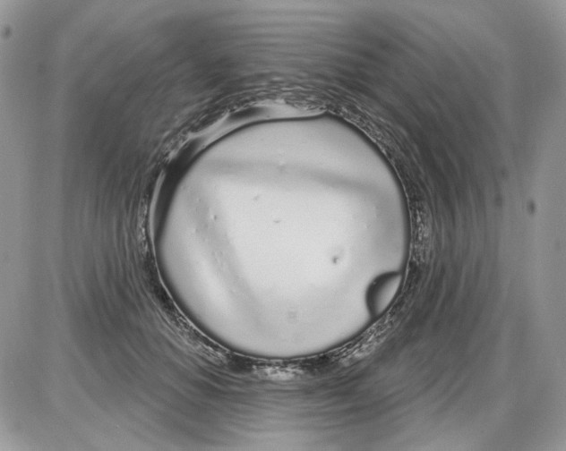 X0000086100654200704202242