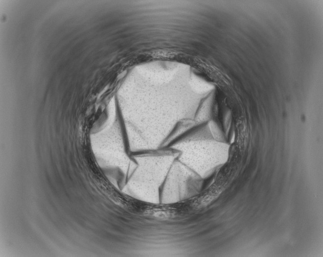 X0000086100655200704202242