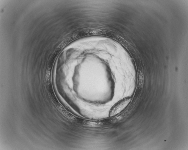 X0000086100657200704202242