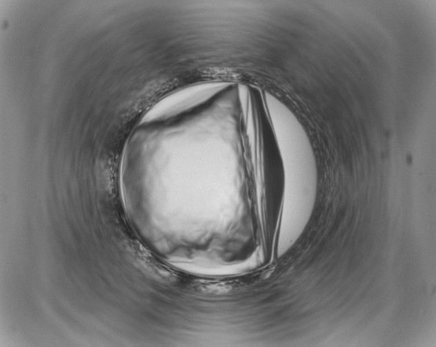 X0000086100658200704202242