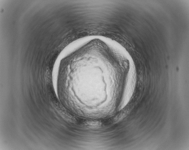 X0000086100659200704202242