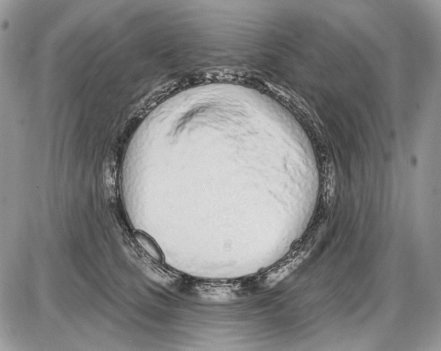 X0000086100661200704202242
