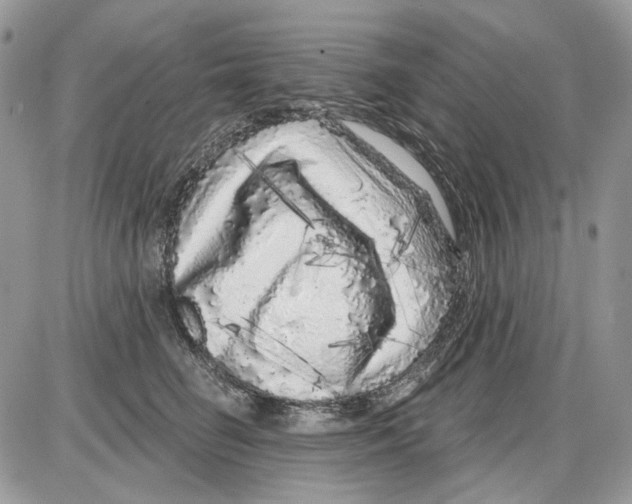 X0000086100662200704202242