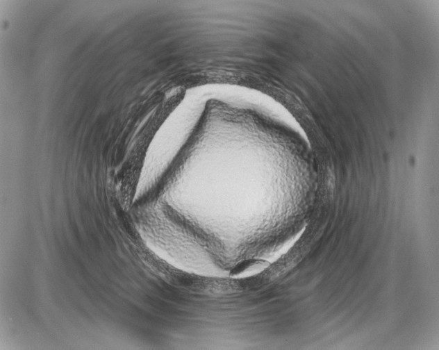 X0000086100663200704202242