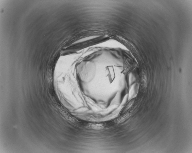 X0000086100665200704202242