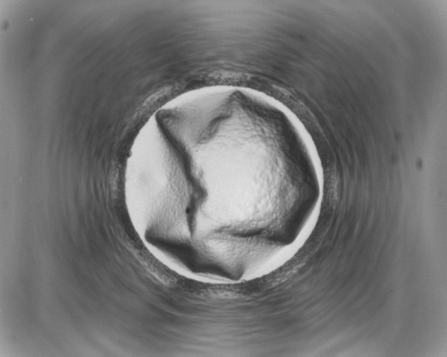 X0000086100668200704202242