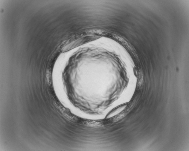 X0000086100669200704202242
