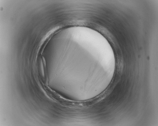X0000086100674200704202242