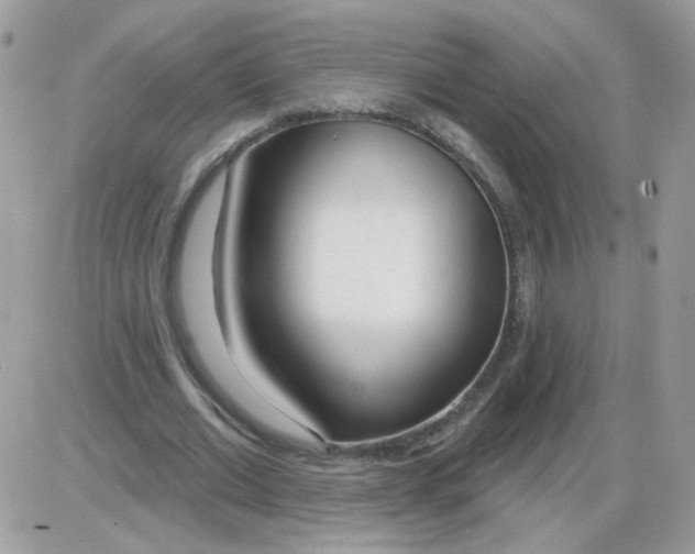 X0000086100677200704202241