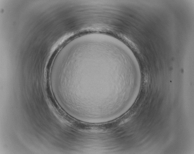 X0000086100678200704202241