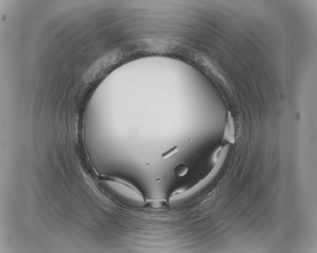X0000086100685200704202241
