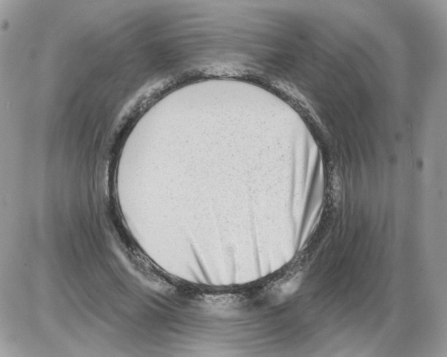 X0000086100686200704202241