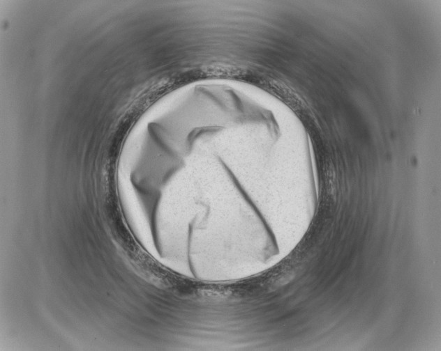 X0000086100690200704202241