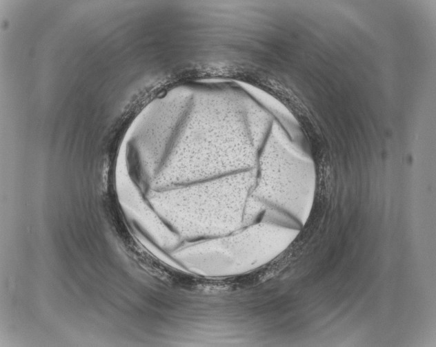 X0000086100694200704202241