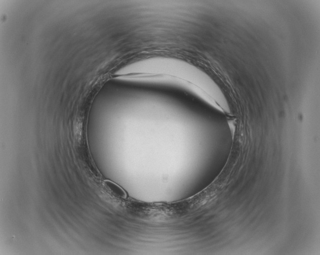 X0000086100697200704202241