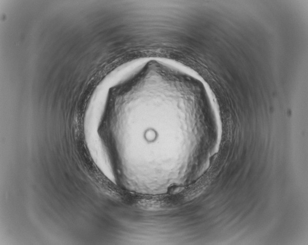 X0000086100699200704202241