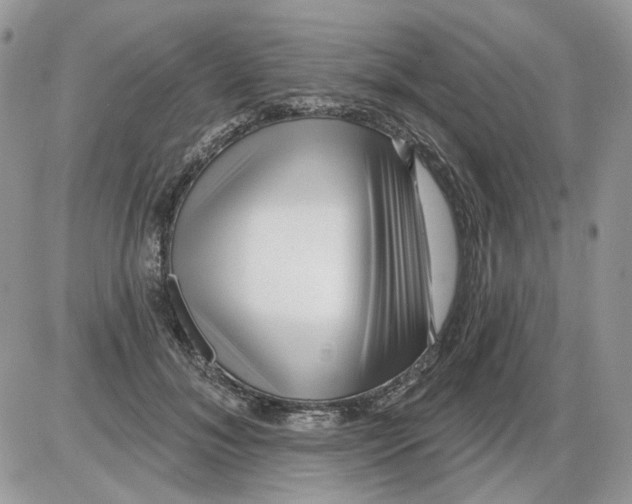 X0000086100700200704202241