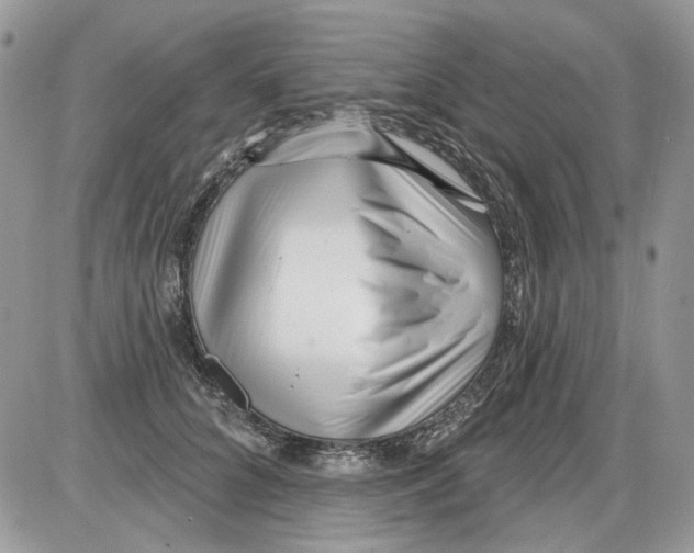 X0000086100704200704202241