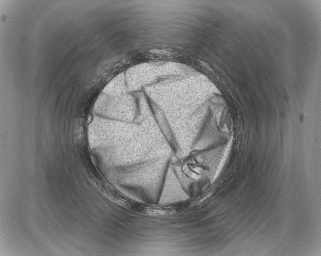 X0000086100706200704202241