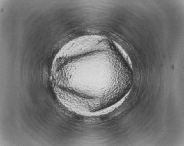 X0000086100707200704202241