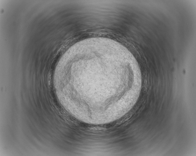 X0000086100708200704202241