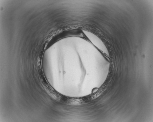 X0000086100711200704202241