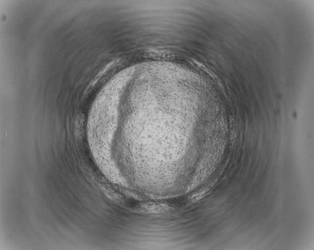 X0000086100712200704202241