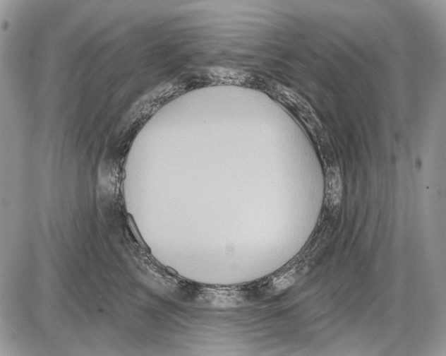 X0000086100713200704202241