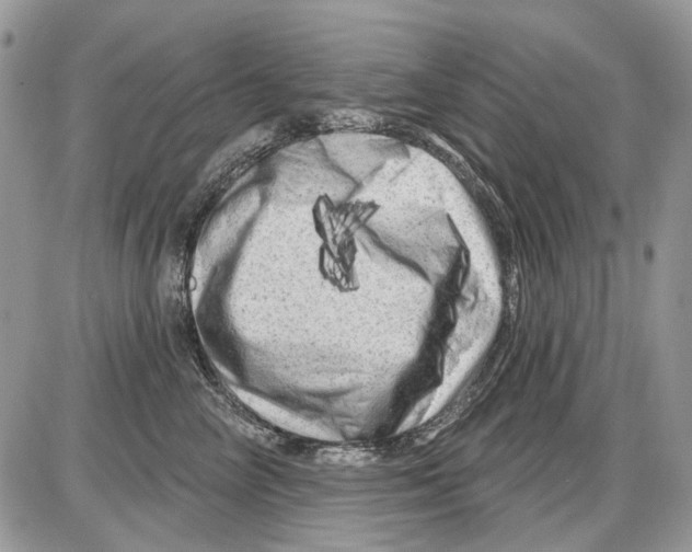 X0000086100714200704202241