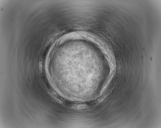 X0000086100716200704202241