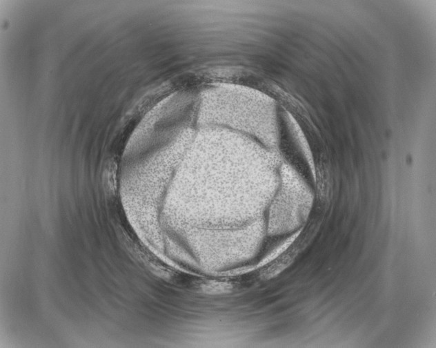 X0000086100718200704202241