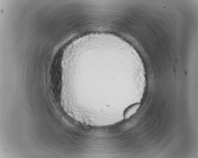X0000086100721200704202240