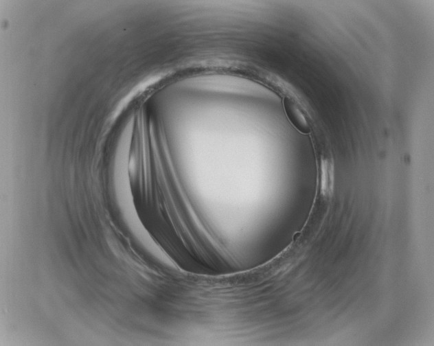 X0000086100723200704202240