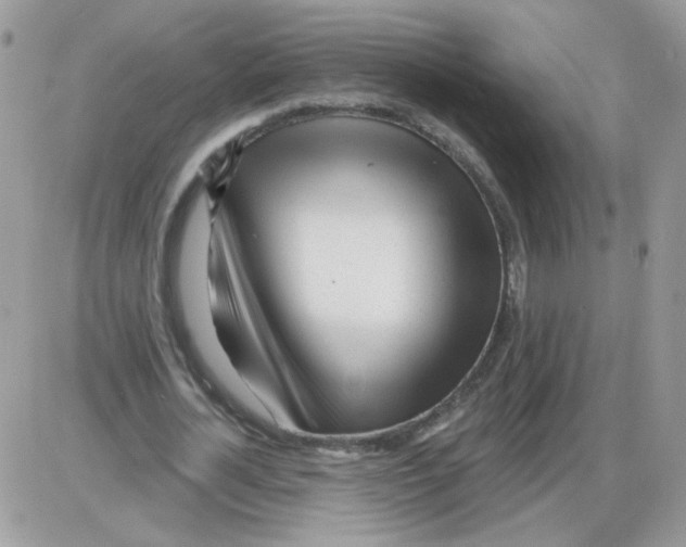 X0000086100724200704202240