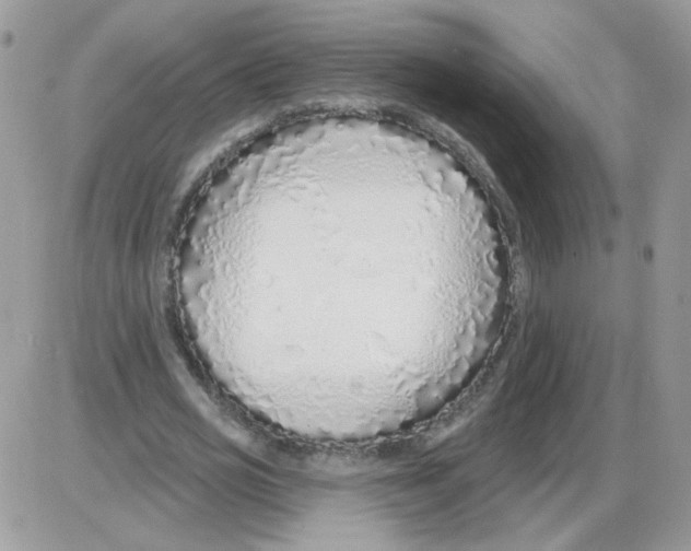 X0000086100725200704202240