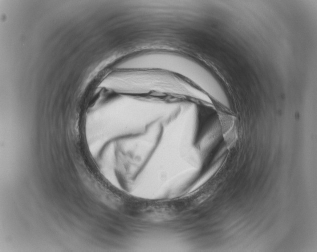 X0000086100727200704202240