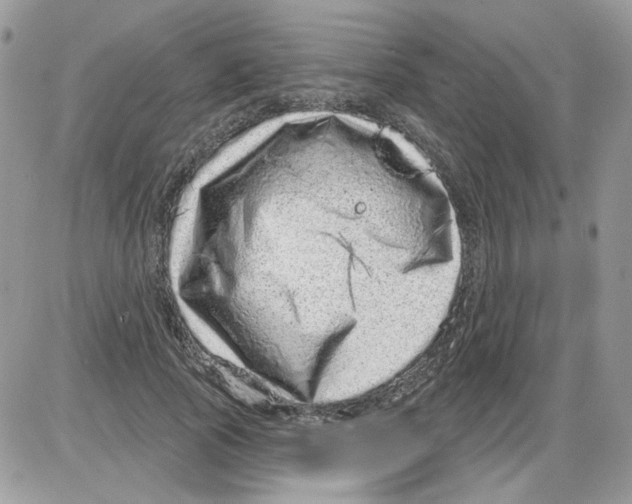 X0000086100737200704202240