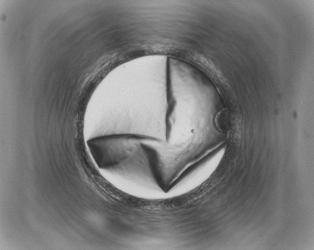X0000086100738200704202240