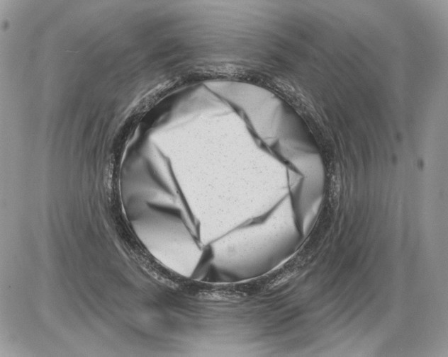 X0000086100739200704202240