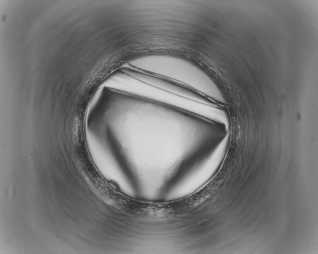 X0000086100742200704202240