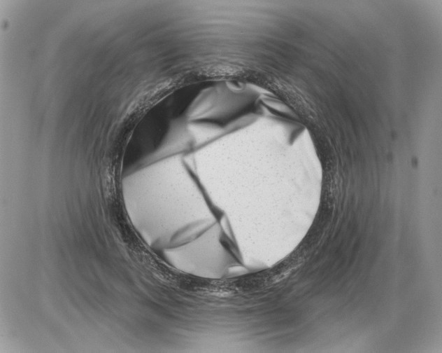 X0000086100743200704202240