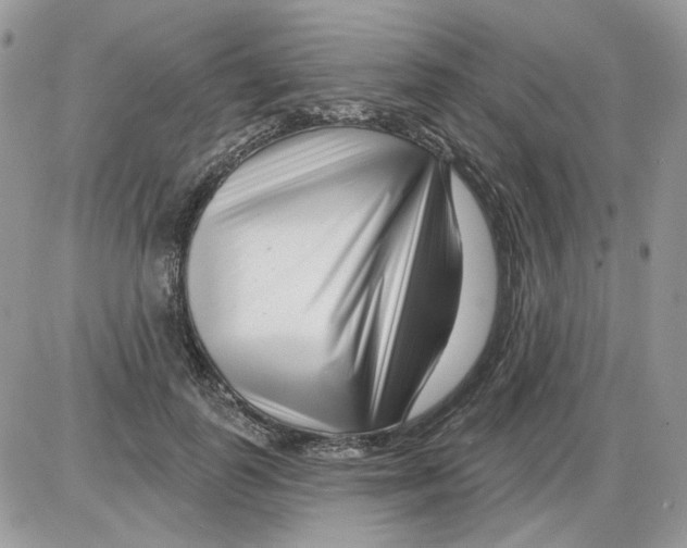 X0000086100747200704202240