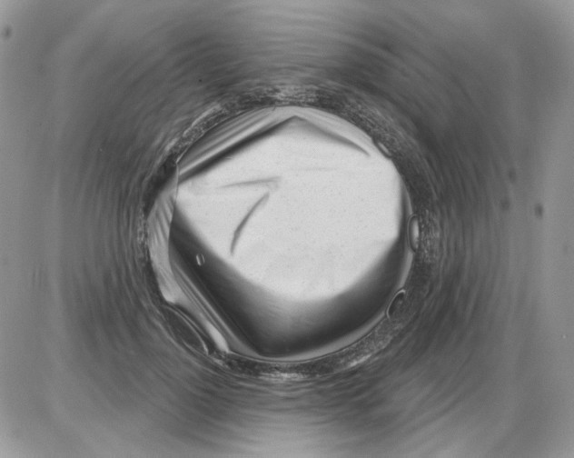 X0000086100748200704202240