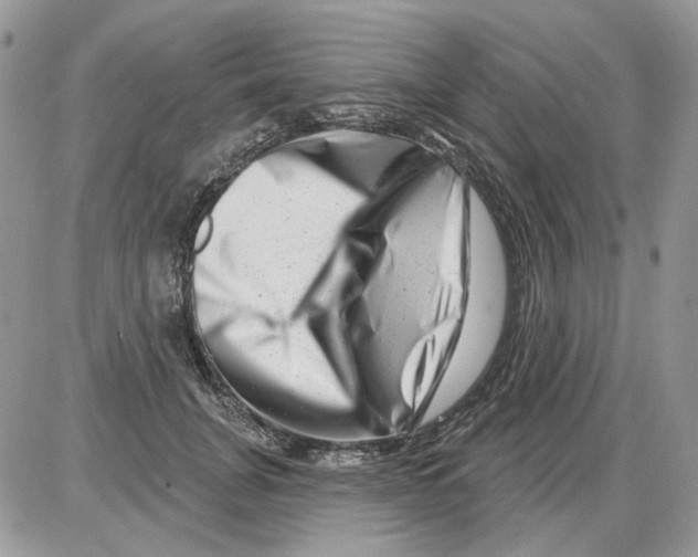 X0000086100751200704202240