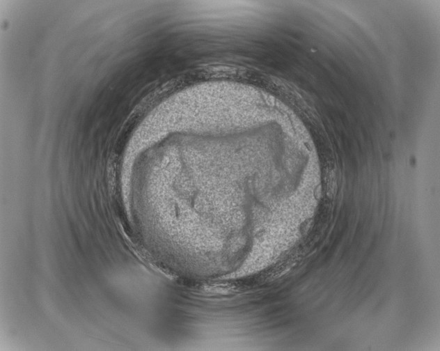 X0000086100753200704202241