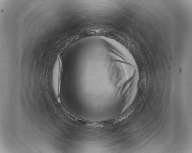 X0000086100754200704202241