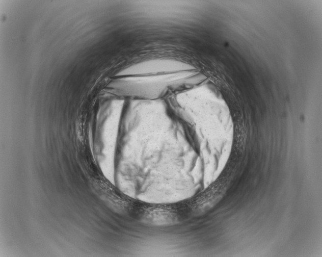 X0000086100755200704202241