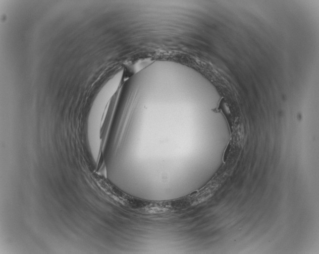 X0000086100756200704202241