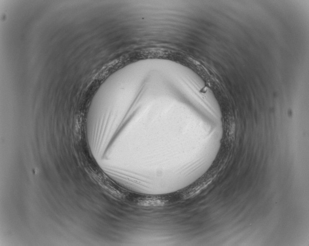X0000086100759200704202241