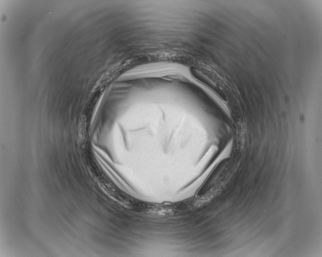 X0000086100760200704202241